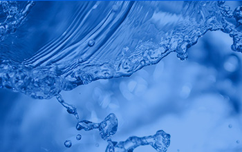 公司董事長(zhǎng)藍(lán)偉光博士做客廈門(mén)大學(xué)校友論壇